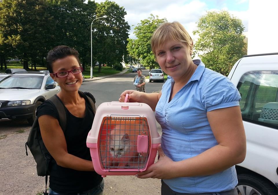 EU Trade News Part 4 (1)