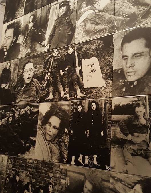 EU Trade News Part 5